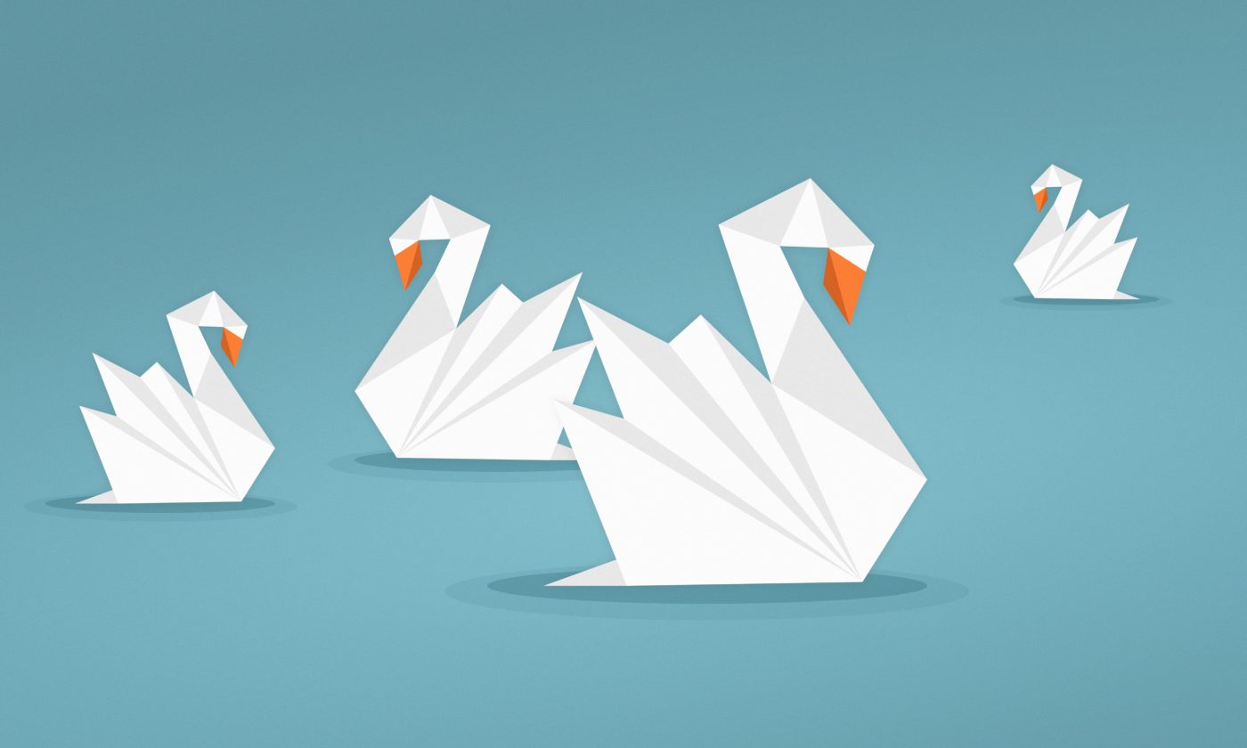 From Ugly Duckling To Beautiful Swan Hero Img