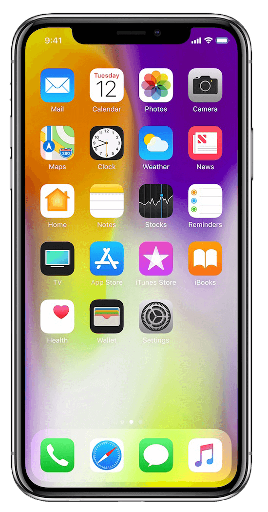 IPhone X Plus